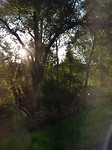 20171105_170055