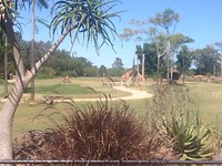 IMG-20171105-WA0015