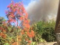 IMG-20171105-WA0019