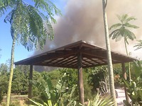 IMG-20171105-WA0020
