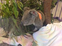 IMG-20171105-WA0025