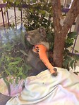 IMG-20171105-WA0031