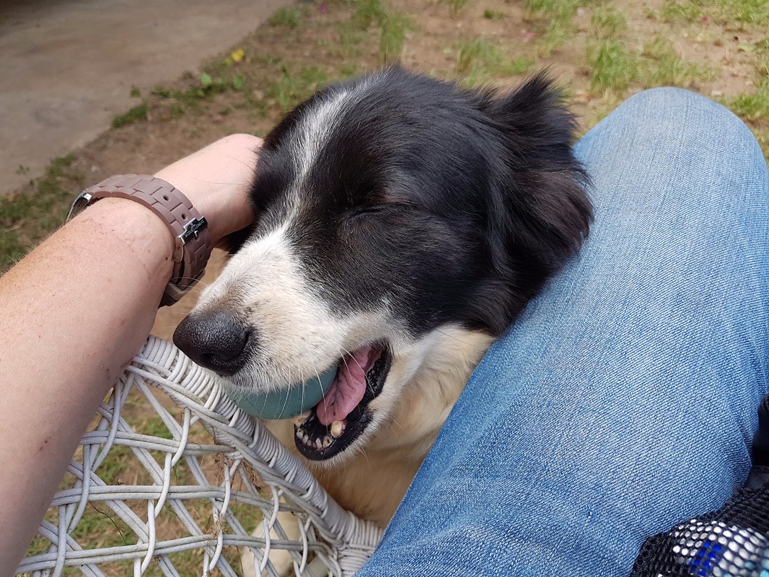 Lily! Mijn steun en toeverlaat! 😍