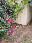 20171106_081256