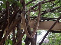 20171106_084706
