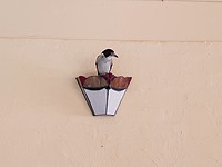 20171110_071727