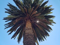 20171122_121825