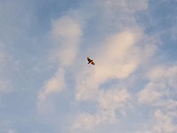 20171123_195457