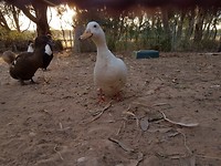 20171123_193457