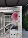 20171124_194244