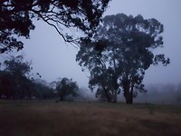 20171125_053445