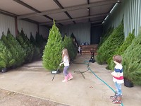 20171125_093753