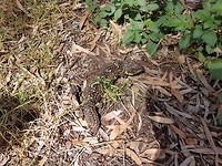 20171125_103940