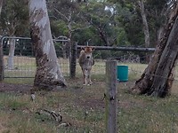 20171126_084211