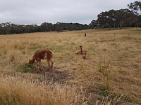20171126_083224