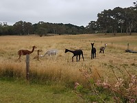 20171126_083332