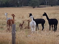 20171126_083609