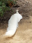 20171127_112424