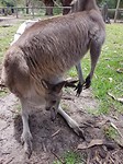20171127_121108