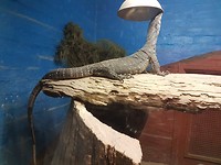20171127_120413
