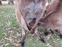 20171127_114402