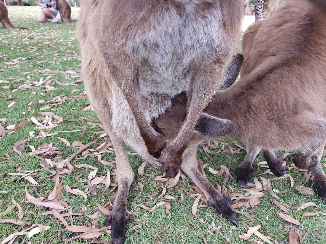 20171127_114402