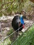 20171127_123052