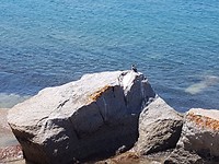 20171127_142635