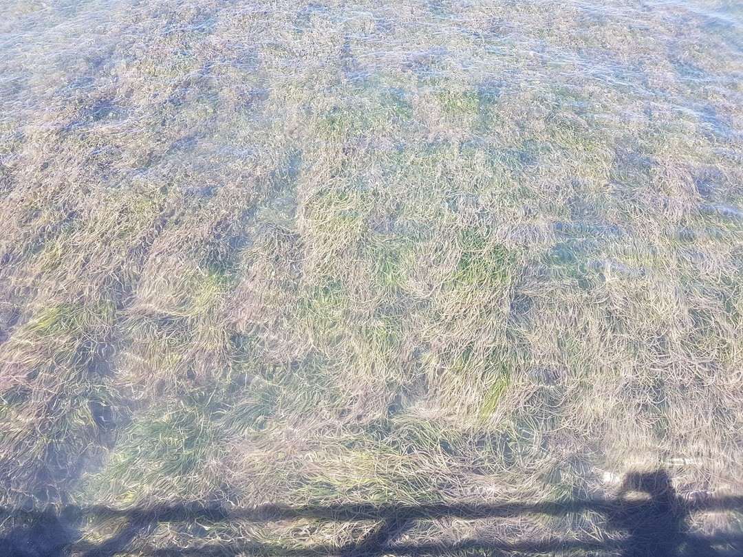 20171127_150806
