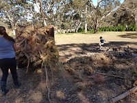 20171128_163424
