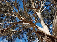 20171204_161650