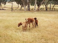20171214_083517