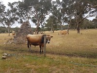 20171214_103207