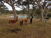 20171214_103154