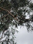20171218_190748