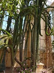 20171219_143748