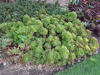 20171219_143612