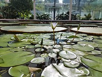 20171219_164004