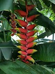 20171219_164105