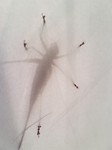 20171222_074211
