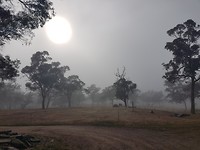 20171222_080337