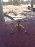 20171222_094814