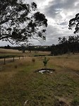 20171224_081709