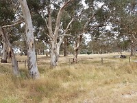 20171223_121621