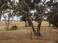 20171224_140827