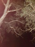 20171226_221919