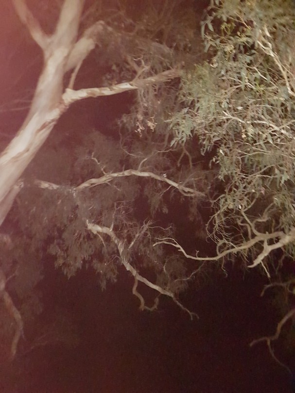 20171226_221919