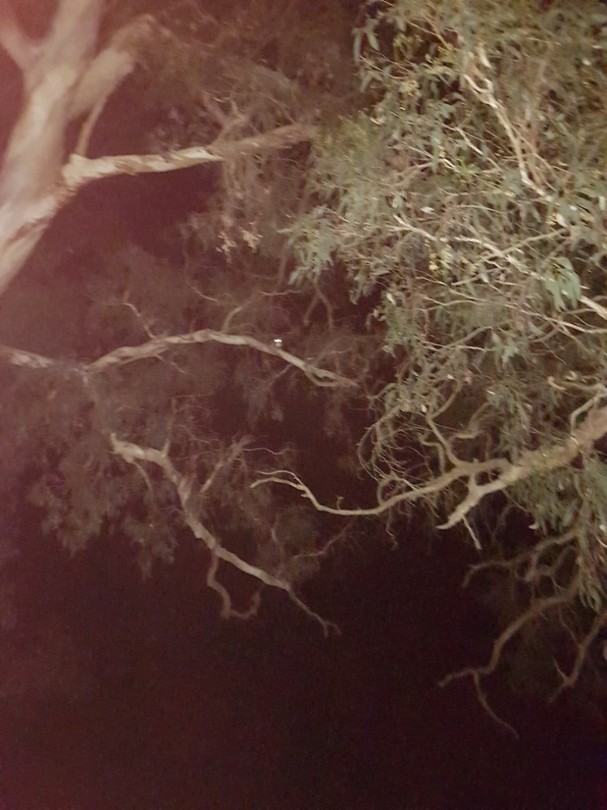 20171226_221912
