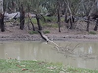 20171228_150753
