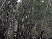 20171228_150806